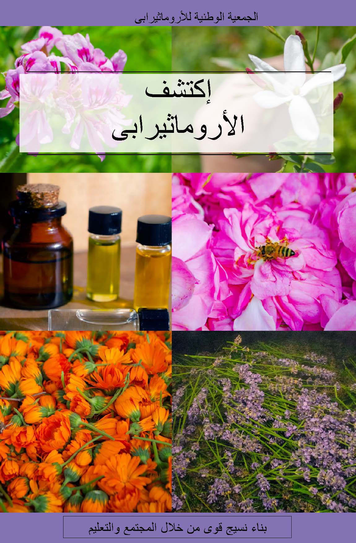 Explore Aromatherapy Booklet (Arabic) PDF DOWNLOAD ONLY